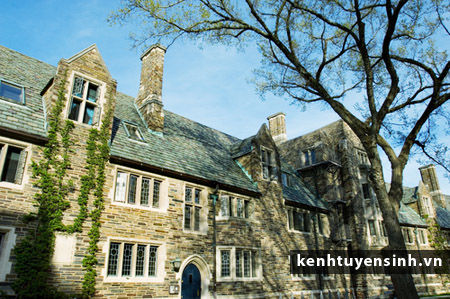 Viện nghiên cứu cao cấp Princeton - Phần 3